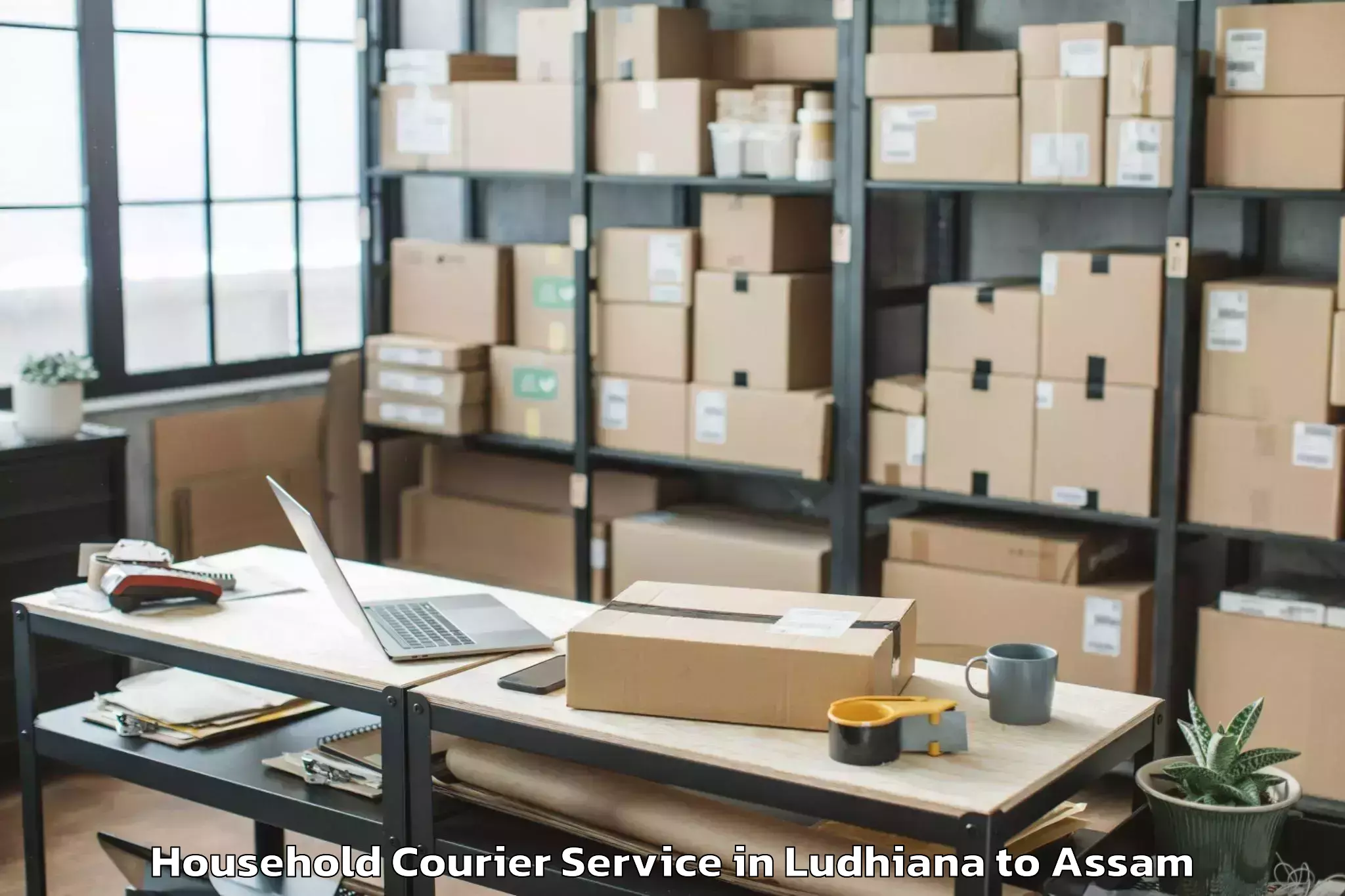 Book Ludhiana to Kokrajhar Household Courier